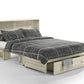 Night and Day Murphy Cabinet Bed Daisy Murphy Cabinet Bed with Queen Gel Memory Foam Mattress - Available in 3 Colours