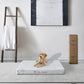 Pending - Rest Therapy 3 Inch Invigorate Bamboo Cool Gel Memory Foam Dog Bed - Available in 3 Sizes