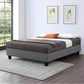 True Contemporary Bed EZ Base Foundation Grey Platform Bed - Available in 4 Sizes